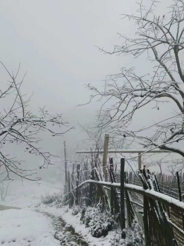 【侧耳】春天的雪
